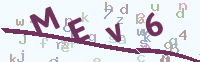 看不清楚？點(diǎn)擊可獲取新的驗(yàn)證碼.
