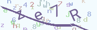 看不清楚？點(diǎn)擊可獲取新的驗(yàn)證碼.