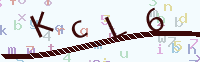看不清楚？點(diǎn)擊可獲取新的驗(yàn)證碼.