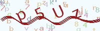 看不清楚？點(diǎn)擊可獲取新的驗(yàn)證碼.