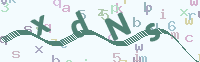 看不清楚？點(diǎn)擊可獲取新的驗(yàn)證碼.