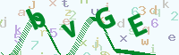 看不清楚？點(diǎn)擊可獲取新的驗(yàn)證碼.
