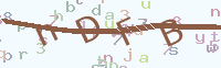 看不清楚？點(diǎn)擊可獲取新的驗(yàn)證碼.
