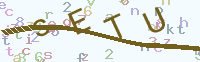 看不清楚？點(diǎn)擊可獲取新的驗(yàn)證碼.