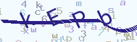 看不清楚？點(diǎn)擊可獲取新的驗(yàn)證碼.