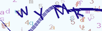 看不清楚？點(diǎn)擊可獲取新的驗(yàn)證碼.