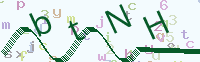 看不清楚？點(diǎn)擊可獲取新的驗(yàn)證碼.
