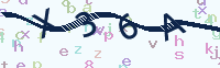 看不清楚？點(diǎn)擊可獲取新的驗(yàn)證碼.