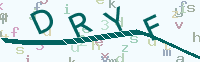 看不清楚？點(diǎn)擊可獲取新的驗(yàn)證碼.