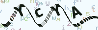 看不清楚？點(diǎn)擊可獲取新的驗(yàn)證碼.