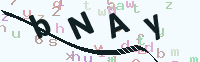 看不清楚？點(diǎn)擊可獲取新的驗(yàn)證碼.