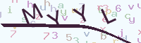 看不清楚？點(diǎn)擊可獲取新的驗(yàn)證碼.