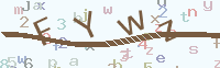 看不清楚？點(diǎn)擊可獲取新的驗(yàn)證碼.