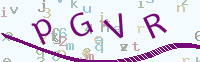 看不清楚？點(diǎn)擊可獲取新的驗(yàn)證碼.