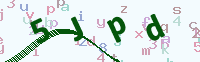看不清楚？點(diǎn)擊可獲取新的驗(yàn)證碼.