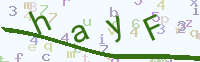 看不清楚？點(diǎn)擊可獲取新的驗(yàn)證碼.