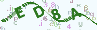 看不清楚？點(diǎn)擊可獲取新的驗(yàn)證碼.