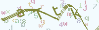 看不清楚？點(diǎn)擊可獲取新的驗(yàn)證碼.