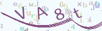看不清楚？點(diǎn)擊可獲取新的驗(yàn)證碼.
