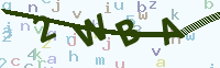 看不清楚？點(diǎn)擊可獲取新的驗(yàn)證碼.