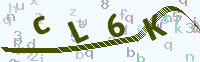 看不清楚？點(diǎn)擊可獲取新的驗(yàn)證碼.
