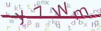 看不清楚？點(diǎn)擊可獲取新的驗(yàn)證碼.