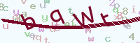 看不清楚？點(diǎn)擊可獲取新的驗(yàn)證碼.