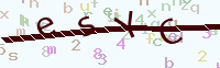 看不清楚？點(diǎn)擊可獲取新的驗(yàn)證碼.